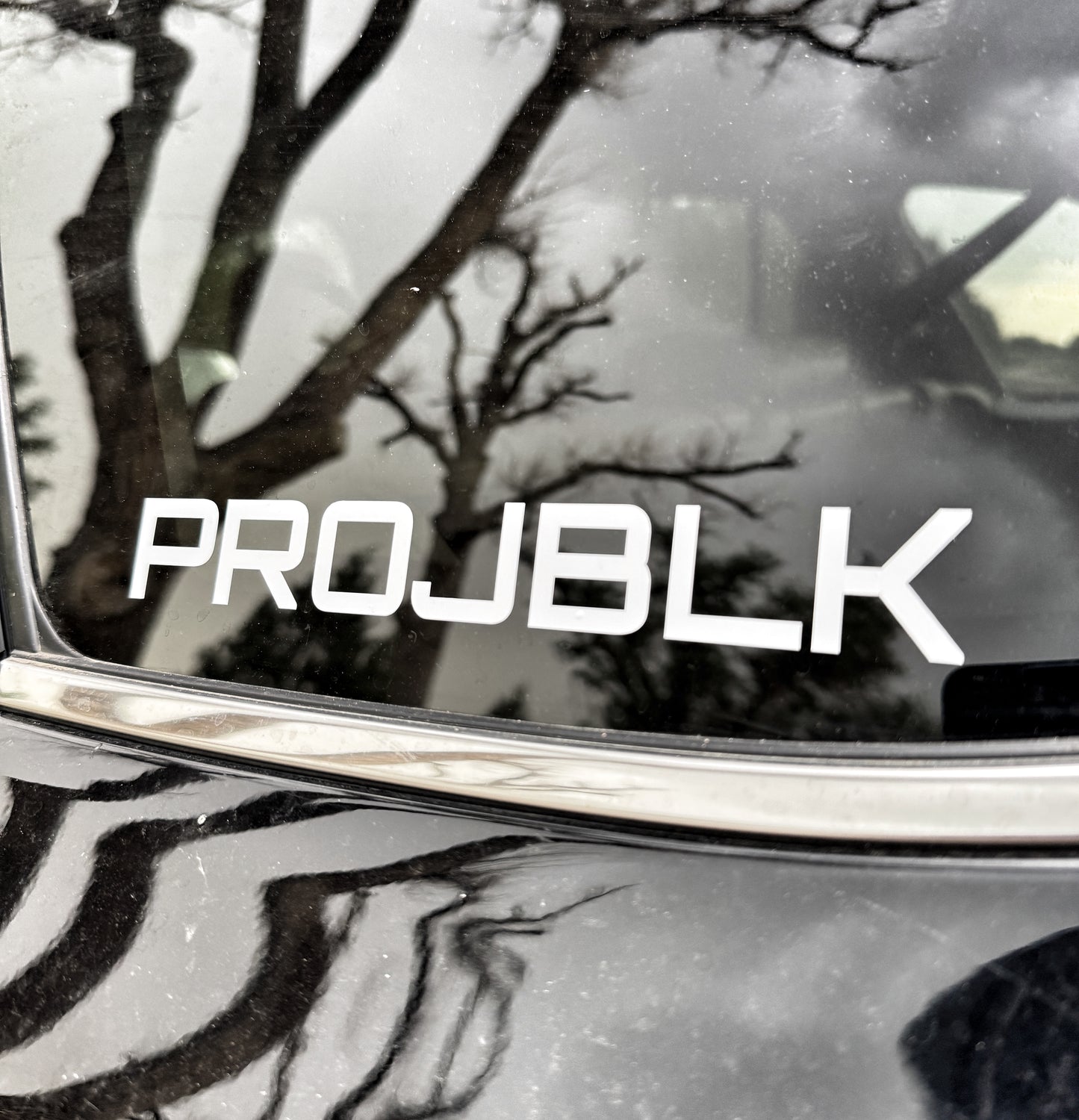PROJBLK sticker